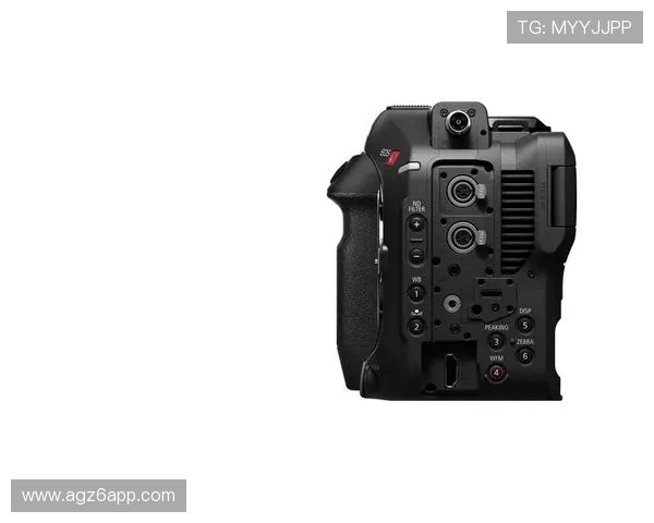 选择尊龙z6手机版的几个理由与优点分析